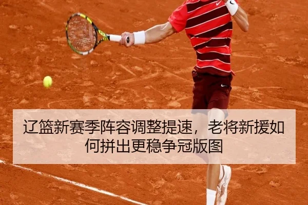 辽篮新赛季阵容调整提速，老将新援如何拼出更稳争冠版图